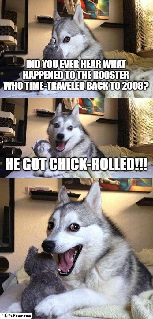 even though it's bad, i still find this joke funny. | DID YOU EVER HEAR WHAT HAPPENED TO THE ROOSTER WHO TIME-TRAVELED BACK TO 2008? HE GOT CHICK-ROLLED!!! | image tagged in memes,bad pun dog,bad joke,bad joke dog,2008 | made w/ Lifeismeme meme maker