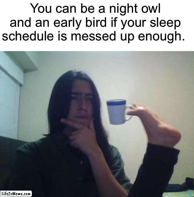 I’m not wrong technically | You can be a night owl and an early bird if your sleep schedule is messed up enough. | image tagged in hmmmm,memes,funny,relatable memes,sleep,tired | made w/ Lifeismeme meme maker