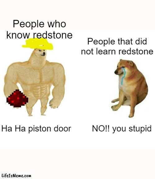 Not Everybody Know's Things | People who know redstone; People that did not learn redstone; Ha Ha piston door; NO!! you stupid | image tagged in memes,minecraft | made w/ Lifeismeme meme maker