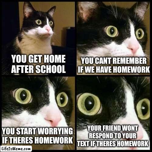 crying of homework | YOU GET HOME AFTER SCHOOL; YOU CANT REMEMBER IF WE HAVE HOMEWORK; YOU START WORRYING IF THERES HOMEWORK; YOUR FRIEND WONT RESPOND TO YOUR TEXT IF THERES HOMEWORK | image tagged in homework,crying | made w/ Lifeismeme meme maker