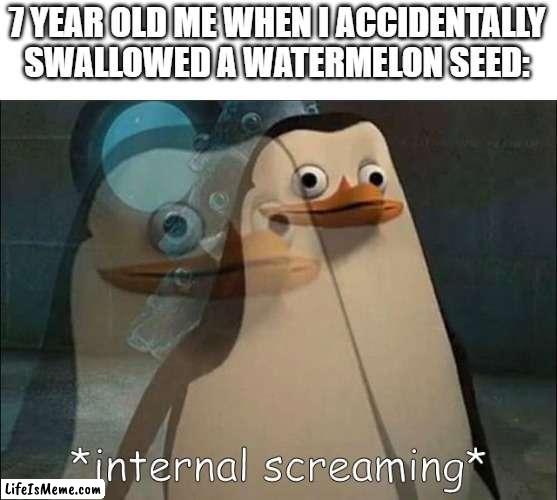 we all used to do this *screaming on the inside* | 7 YEAR OLD ME WHEN I ACCIDENTALLY SWALLOWED A WATERMELON SEED: | image tagged in private internal screaming,watermelon seed,oh no,screamingg | made w/ Lifeismeme meme maker