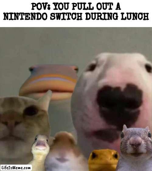 ??? Is for me? | POV: YOU PULL OUT A NINTENDO SWITCH DURING LUNCH | image tagged in lunch,nintendo switch,school,memes,stare | made w/ Lifeismeme meme maker