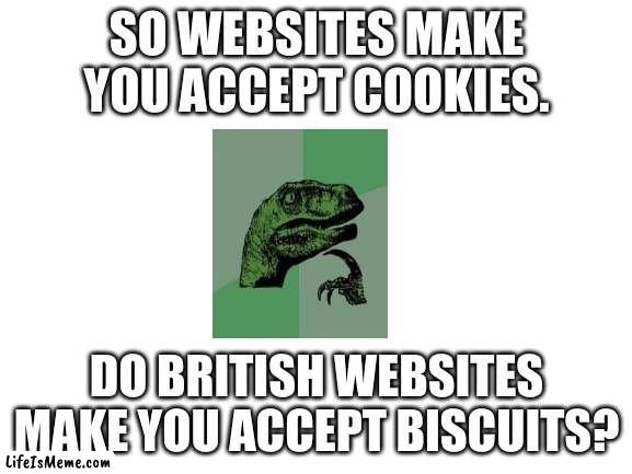 Cookies. | SO WEBSITES MAKE YOU ACCEPT COOKIES. DO BRITISH WEBSITES MAKE YOU ACCEPT BISCUITS? | image tagged in blank white template | made w/ Lifeismeme meme maker