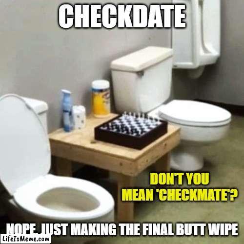 Chess informal use | DON'T YOU MEAN 'CHECKMATE'? | image tagged in toilet,chess | made w/ Lifeismeme meme maker