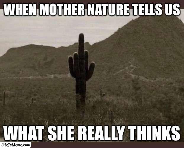 Mother Nature | WHEN MOTHER NATURE TELLS US; WHAT SHE REALLY THINKS | image tagged in cactus,mother nature,middle finger | made w/ Lifeismeme meme maker