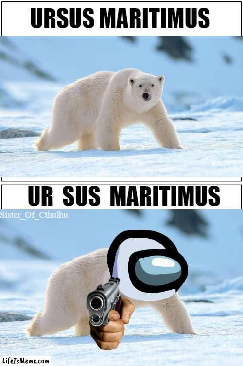 When Polar Bear is Sus | URSUS MARITIMUS; UR  SUS  MARITIMUS | image tagged in memes,blank comic panel 1x2,sus,scientific name,original meme | made w/ Lifeismeme meme maker