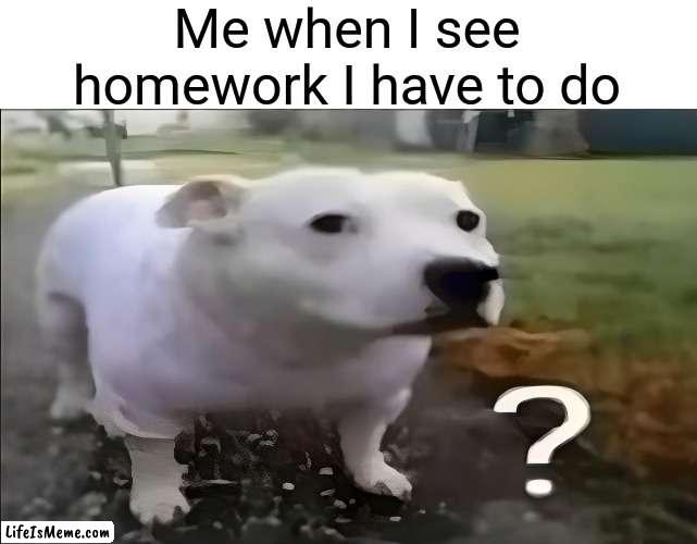 Huh Dog | Me when I see homework I have to do | image tagged in huh dog,school,gifs,memes,homework,dog | made w/ Lifeismeme meme maker