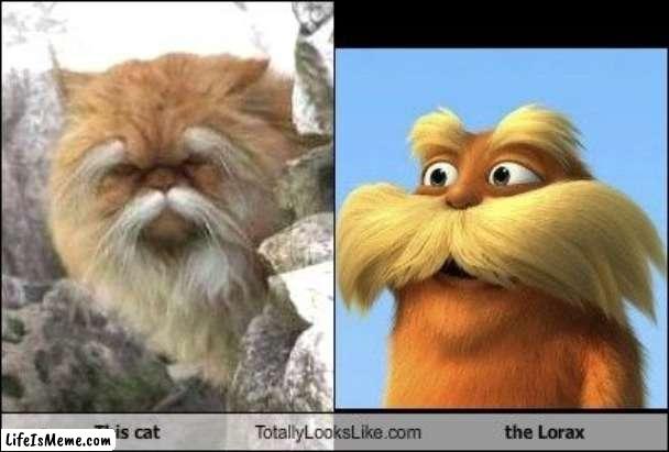 Evolution | image tagged in evolution | made w/ Lifeismeme meme maker