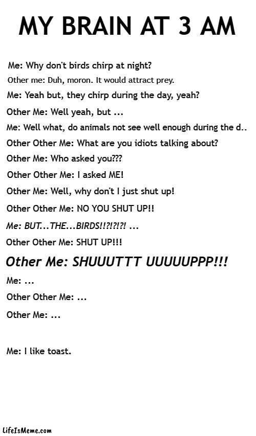 It's Like That | MY BRAIN AT 3 AM; Me: Why don't birds chirp at night? Other me: Duh, moron. It would attract prey. Me: Yeah but, they chirp during the day, yeah? Other Me: Well yeah, but ... Me: Well what, do animals not see well enough during the d.. Other Other Me: What are you idiots talking about? Other Me: Who asked you??? Other Other Me: I asked ME! Other Me: Well, why don't I just shut up! Other Other Me: NO YOU SHUT UP!! Me: BUT...THE...BIRDS!!?!?!?! ... Other Other Me: SHUT UP!!! Other Me: SHUUUTTT UUUUUPPP!!! Me: ... Other Other Me: ... Other Me: ... Me: I like toast. | image tagged in insomnia,brain before sleep,hey you going to sleep,funny,funny memes,funny meme | made w/ Lifeismeme meme maker