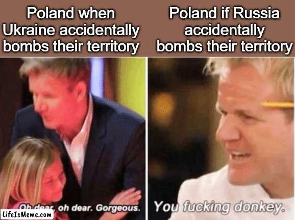 Bem bem! | Poland when Ukraine accidentally bombs their territory; Poland if Russia accidentally bombs their territory | image tagged in gordon ramsey talking to kids vs talking to adults,russia,poland,bomb,ukraine | made w/ Lifeismeme meme maker