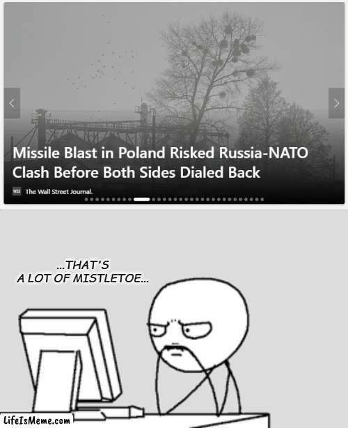 HEADLINE UPSTAGED, SUBJECT CHANGED | ...THAT'S A LOT OF MISTLETOE... | image tagged in thinking stick man,you had one job | made w/ Lifeismeme meme maker