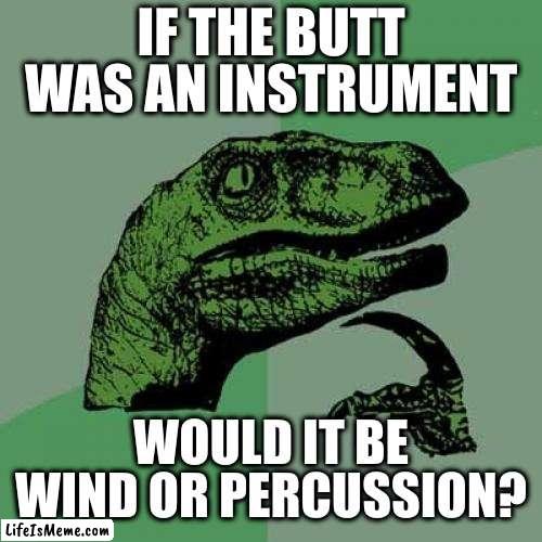 Make it sing or make it clap | IF THE BUTT WAS AN INSTRUMENT; WOULD IT BE WIND OR PERCUSSION? | image tagged in memes,philosoraptor | made w/ Lifeismeme meme maker