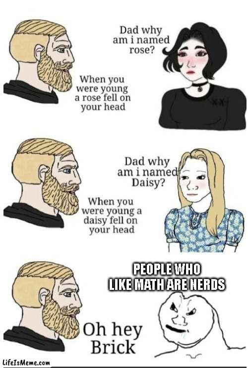 People who say that math is for nerds probably don't have a life | PEOPLE WHO LIKE MATH ARE NERDS | image tagged in oh hey brick,math | made w/ Lifeismeme meme maker