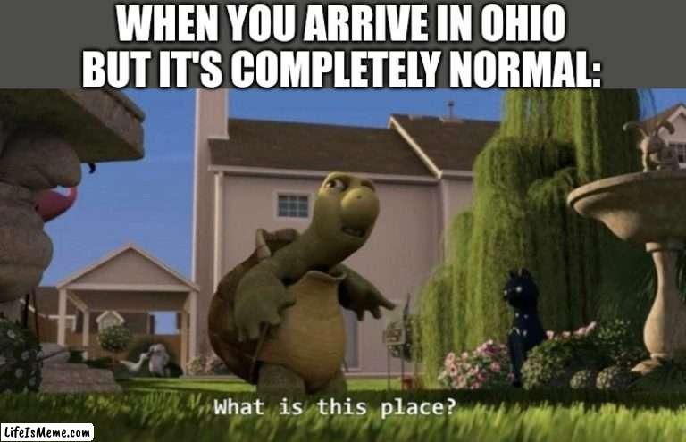 Down in ohio | WHEN YOU ARRIVE IN OHIO BUT IT'S COMPLETELY NORMAL: | image tagged in what is this place,ohio,memes | made w/ Lifeismeme meme maker