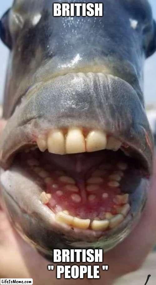 Quote On Quote People | image tagged in british | made w/ Lifeismeme meme maker