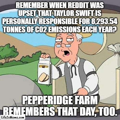 Pepperidge Farm Remembers Meme | REMEMBER WHEN REDDIT WAS UPSET THAT TAYLOR SWIFT IS PERSONALLY RESPONSIBLE FOR 8,293.54 TONNES OF C02 EMISSIONS EACH YEAR? PEPPERIDGE FARM REMEMBERS THAT DAY, TOO. | image tagged in memes,pepperidge farm remembers,AdviceAnimals | made w/ Lifeismeme meme maker