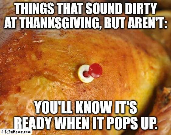 Things That Sound Dirty At Thanksgiving (Part 3) | THINGS THAT SOUND DIRTY AT THANKSGIVING, BUT AREN'T:; YOU'LL KNOW IT'S READY WHEN IT POPS UP. | image tagged in turkey thermometer,thanksgiving,funny,double entendre,pun | made w/ Lifeismeme meme maker