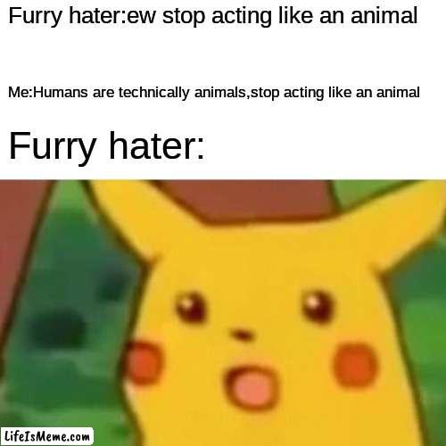 They technically are,beating the whole "stop acting like an animal" | Furry hater:ew stop acting like an animal; Me:Humans are technically animals,stop acting like an animal; Furry hater: | image tagged in memes,surprised pikachu | made w/ Lifeismeme meme maker