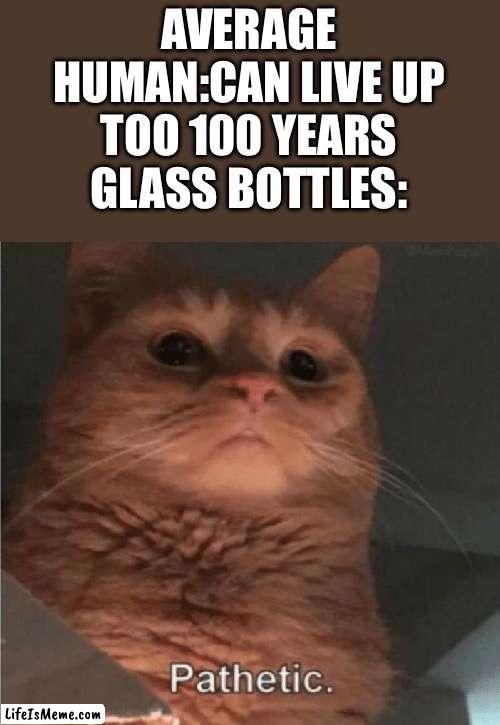 Glass bottles take  millions of years to decompose | AVERAGE HUMAN:CAN LIVE UP TOO 100 YEARS
GLASS BOTTLES: | image tagged in pathetic cat | made w/ Lifeismeme meme maker