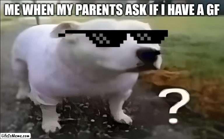 I have had this | ME WHEN MY PARENTS ASK IF I HAVE A GF | image tagged in huh dog,moment | made w/ Lifeismeme meme maker