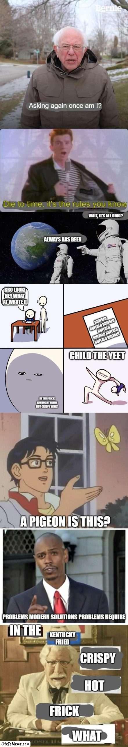 confused confusing confusion | Asking again once am I? Die to time, it's the rules you know; WAIT, IT'S ALL OHIO? ALWAYS HAS BEEN; BRO LOOK! HEY WHAT AT WROTE I! BUFFALO BUFFALO BUFFALO BUFFALO BUFFALO BUFFALO BUFFALO BUFFALO; CHILD THE YEET; IN THE FRICK KENTUCKY FRIED HOT CRISPY WHAT; A PIGEON IS THIS? PROBLEMS MODERN SOLUTIONS PROBLEMS REQUIRE; IN THE; KENTUCKY FRIED; CRISPY; HOT; FRICK; WHAT | image tagged in memes,bernie i am once again asking for your support,you know the rules it's time to die,always has been,yeet the child | made w/ Lifeismeme meme maker