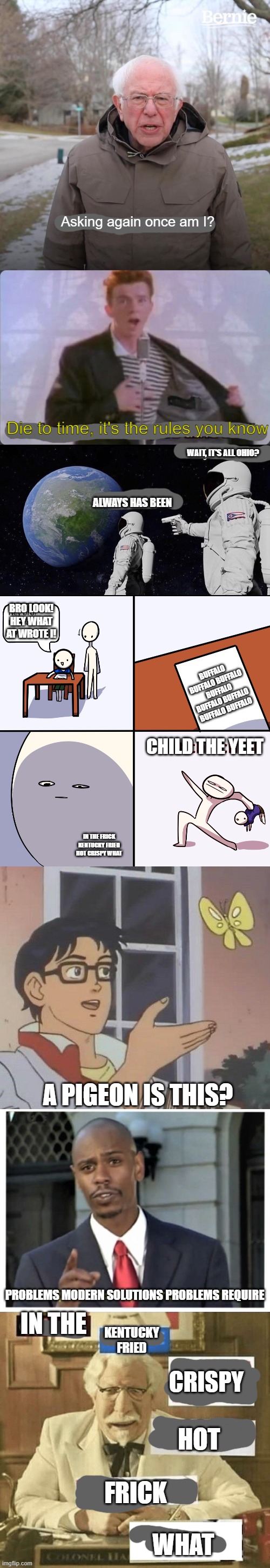 confused confusing confusion | Asking again once am I? Die to time, it's the rules you know; WAIT, IT'S ALL OHIO? ALWAYS HAS BEEN; BRO LOOK! HEY WHAT AT WROTE I! BUFFALO BUFFALO BUFFALO BUFFALO BUFFALO BUFFALO BUFFALO BUFFALO; CHILD THE YEET; IN THE FRICK KENTUCKY FRIED HOT CRISPY WHAT; A PIGEON IS THIS? PROBLEMS MODERN SOLUTIONS PROBLEMS REQUIRE; IN THE; KENTUCKY FRIED; CRISPY; HOT; FRICK; WHAT | image tagged in memes,bernie i am once again asking for your support,you know the rules it's time to die,always has been,yeet the child | made w/ Lifeismeme meme maker
