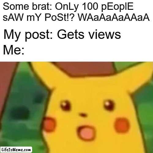 Damm | Some brat: OnLy 100 pEoplE sAW mY PoSt!? WAaAaAaAAaA; My post: Gets views; Me: | image tagged in memes,surprised pikachu | made w/ Lifeismeme meme maker