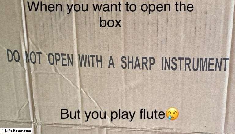 Behold, the first meme I made | image tagged in flute,sharp,band,memes,first meme | made w/ Lifeismeme meme maker