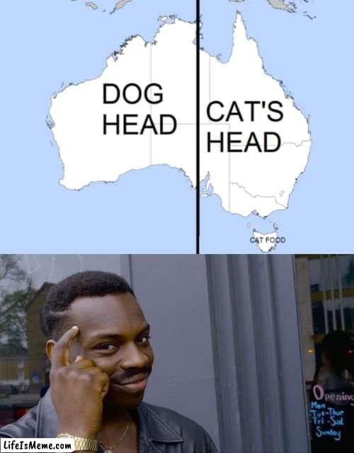 dog cat | image tagged in memes,roll safe think about it | made w/ Lifeismeme meme maker