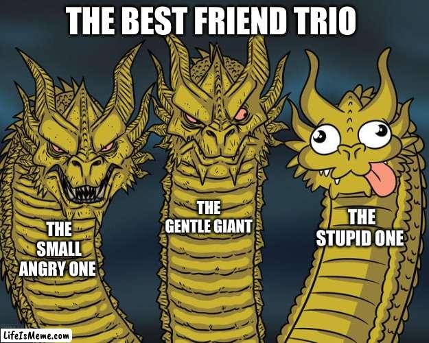 the best friend group | THE BEST FRIEND TRIO; THE GENTLE GIANT; THE STUPID ONE; THE SMALL ANGRY ONE | image tagged in three-headed dragon | made w/ Lifeismeme meme maker