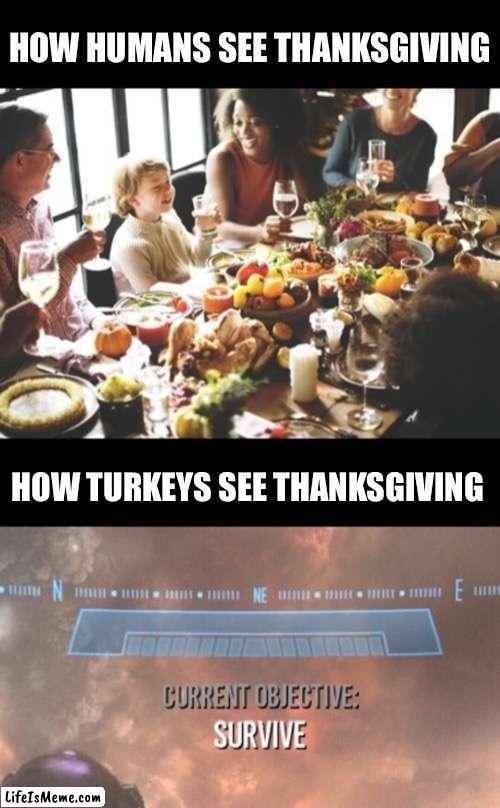 Thanksgiving is almost here | HOW HUMANS SEE THANKSGIVING; HOW TURKEYS SEE THANKSGIVING | image tagged in current objective survive,thanksgiving,thanksgiving dinner,memes,funny | made w/ Lifeismeme meme maker