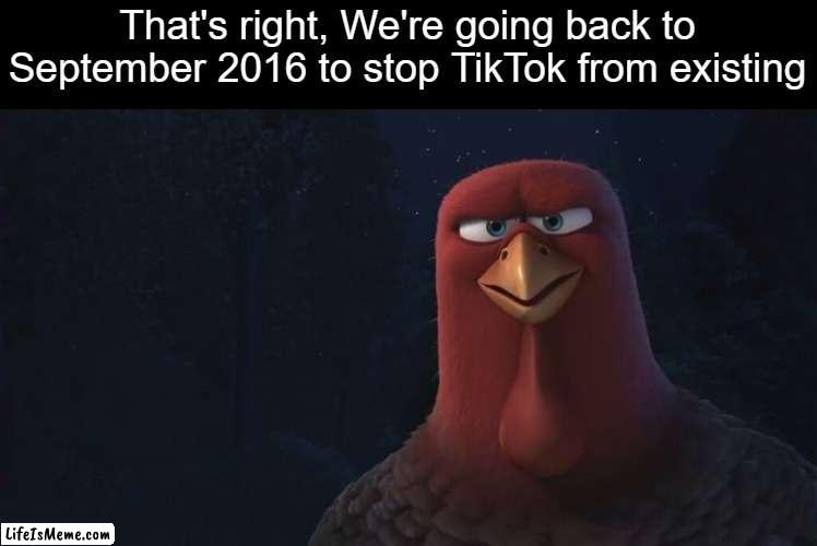 TikTok NEEDS to be shut down | That's right, We're going back to September 2016 to stop TikTok from existing | image tagged in we're going back in time to,tiktok sucks,dank memes,memes,imgflip good tiktok bad,funny memes | made w/ Lifeismeme meme maker