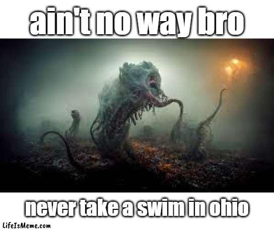 Ohio Lake | ain't no way bro; never take a swim in ohio | image tagged in ohio | made w/ Lifeismeme meme maker