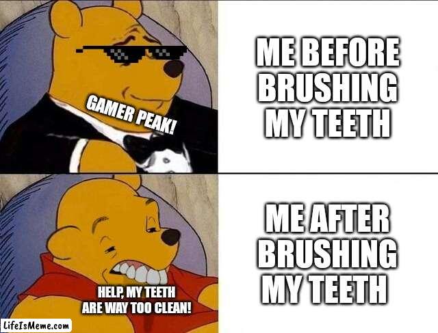 The text matches with the whole meme! | ME BEFORE BRUSHING MY TEETH; GAMER PEAK! ME AFTER BRUSHING MY TEETH; HELP, MY TEETH ARE WAY TOO CLEAN! | image tagged in tuxedo winnie the pooh grossed reverse,memes | made w/ Lifeismeme meme maker