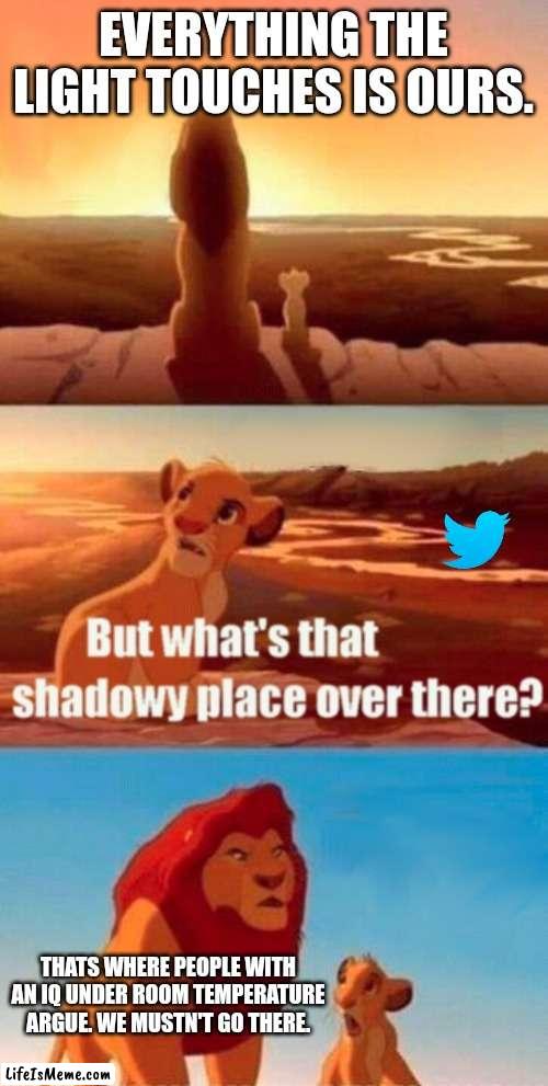 Twitter users that don't go on to argue are gigachads. | EVERYTHING THE LIGHT TOUCHES IS OURS. THATS WHERE PEOPLE WITH AN IQ UNDER ROOM TEMPERATURE ARGUE. WE MUSTN'T GO THERE. | image tagged in memes,simba shadowy place,twitter | made w/ Lifeismeme meme maker