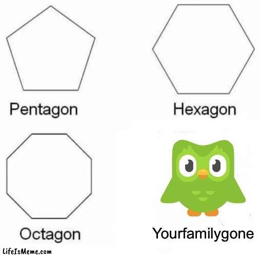 Duolingo be like | Yourfamilygone | image tagged in memes,pentagon hexagon octagon | made w/ Lifeismeme meme maker