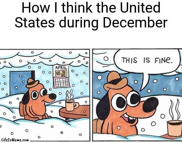 The United States during December | How I think the United States during December | image tagged in this is fine snow,united states,this is fine,christmas,december,memes | made w/ Lifeismeme meme maker