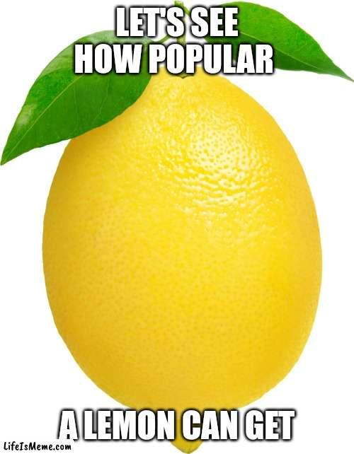 I got bored so why not lol | LET'S SEE HOW POPULAR; A LEMON CAN GET | image tagged in lemon,memes,funny,fruit,sour,lol so funny | made w/ Lifeismeme meme maker