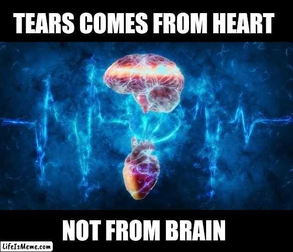 Lesson | TEARS COMES FROM HEART; NOT FROM BRAIN | image tagged in anime,emotional damage,emotions,sad | made w/ Lifeismeme meme maker