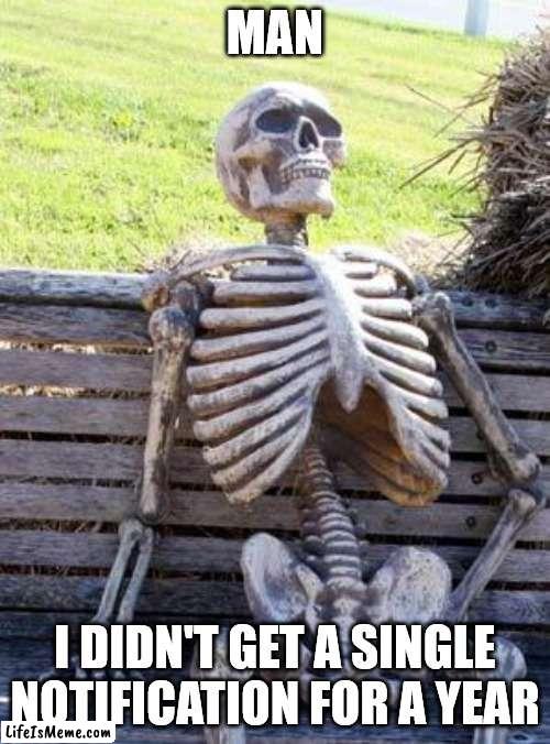 no nofiication? | MAN; I DIDN'T GET A SINGLE NOTIFICATION FOR A YEAR | image tagged in memes,waiting skeleton | made w/ Lifeismeme meme maker