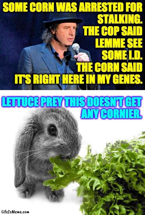 Garden variety criminals. | SOME CORN WAS ARRESTED FOR
STALKING.
THE COP SAID
LEMME SEE
SOME I.D.
THE CORN SAID
IT'S RIGHT HERE IN MY GENES. LETTUCE PREY THIS DOESN'T GET
ANY CORNIER. | image tagged in steven wright,memes,puns | made w/ Lifeismeme meme maker