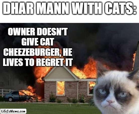 Dhar Mann with cats | DHAR MANN WITH CATS:; OWNER DOESN'T GIVE CAT CHEEZEBURGER, HE LIVES TO REGRET IT | image tagged in memes,burn kitty,grumpy cat | made w/ Lifeismeme meme maker