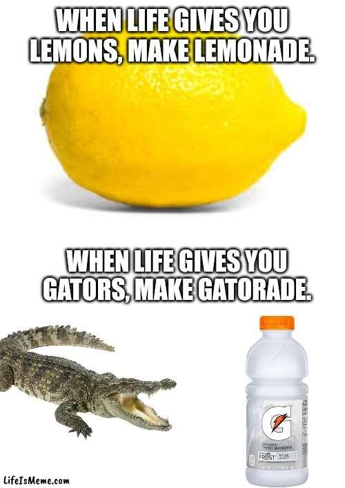 Hehehe lol | WHEN LIFE GIVES YOU LEMONS, MAKE LEMONADE. WHEN LIFE GIVES YOU GATORS, MAKE GATORADE. | image tagged in when life gives you lemons x,blank white template | made w/ Lifeismeme meme maker