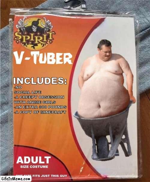 Man what's up with spirit halloween these days | INCLUDES:; -NO       SOCIAL LIFE
-A CREEPY OBSESSION 
WITH ANIME GIRLS
-AN EXTRA 300 POUNDS
-A COPY OF MINECRAFT; ADULT; SIZE COSTUME; ONE SIZE FITS JUST THIS GUY | image tagged in spirit halloween,vtuber | made w/ Lifeismeme meme maker