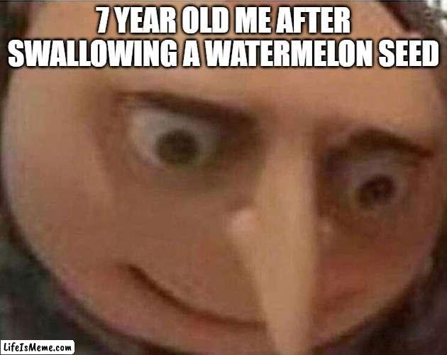 Am i gonna die? | 7 YEAR OLD ME AFTER SWALLOWING A WATERMELON SEED | image tagged in gru meme | made w/ Lifeismeme meme maker