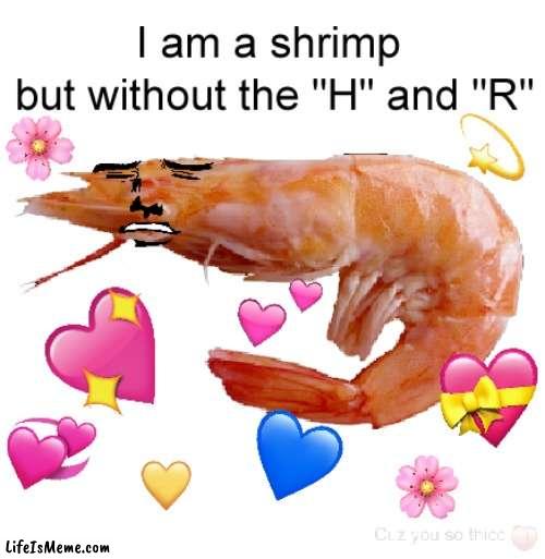 simpy shrimpy~ | image tagged in funny,lol so funny | made w/ Lifeismeme meme maker