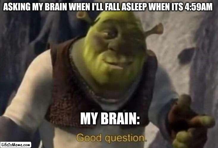 bUt sErIoUsLy WhEn?! | ASKING MY BRAIN WHEN I'LL FALL ASLEEP WHEN ITS 4:59AM; MY BRAIN: | image tagged in shrek good question,brain before sleep,hey you going to sleep | made w/ Lifeismeme meme maker