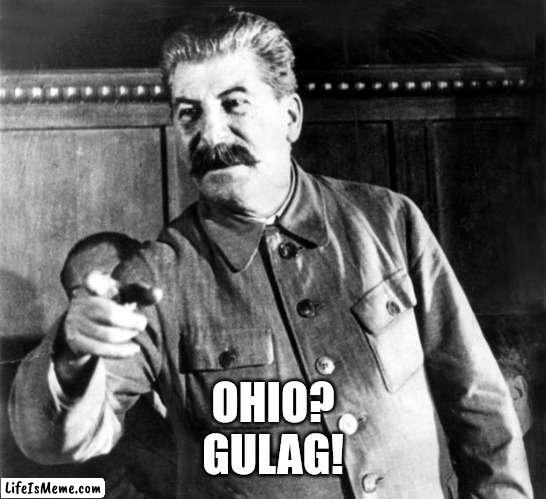Ohio? GULAG! | OHIO?
GULAG! | image tagged in stalins advice,gulag,ohio | made w/ Lifeismeme meme maker
