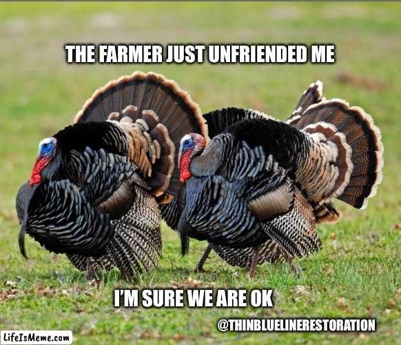 Turkey Day Coming | THE FARMER JUST UNFRIENDED ME; I’M SURE WE ARE OK; @THINBLUELINERESTORATION | image tagged in turkey day | made w/ Lifeismeme meme maker
