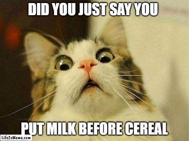If you do this perish | DID YOU JUST SAY YOU; PUT MILK BEFORE CEREAL | image tagged in memes,scared cat | made w/ Lifeismeme meme maker